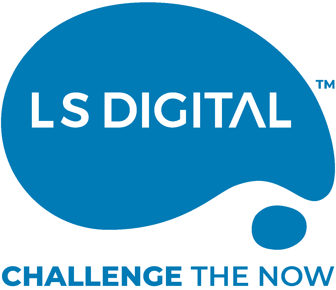 LS Digital